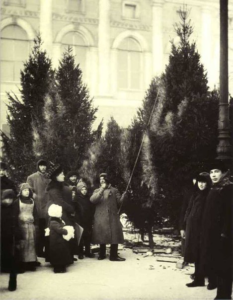 Елочный базар в Екатерининском саду. Санкт-Петербург, 1913 год..jpg