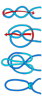 Alpine_butterfly_knot_diagram.png